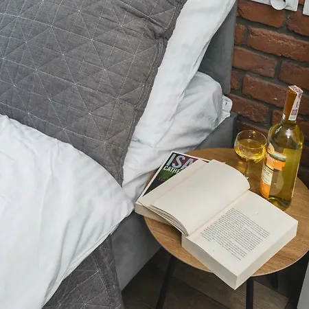 Liv Old Town Appartamento Cracovia